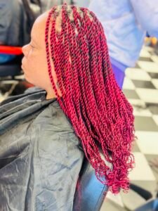 twists-braids-hair salons denver